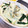 Halcandy51's cooksnap of when they made 簡単♪豆腐とほうれん草のグラタン.