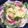 YOUCHIA's cooksnap of when they made 簡単すぎる「白菜と豚肉のミルフィーユ鍋」.