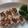 きらり流れ星's cooksnap of when they made お豆腐の味噌マヨチーズ焼き♪.