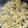 tamago大好き's cooksnap of when they made ★ﾚﾀｽ･しめじと卵の生姜中華ｽｰﾌﾟ★.
