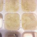 かとりーな♪'s cooksnap of when they made 【離乳食中期】冬瓜の冷凍ストック.
