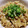 瑚ちゃん's cooksnap of when they made ちくわのひつまぶし.