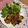 クック49L4Ho☆'s cooksnap of when they made 簡単☆イタリアン風ササミのケチャップ焼き.