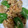あいる♪♪'s cooksnap of when they made 我が家の唐揚げ.