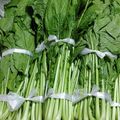クックLYNFY9☆'s cooksnap of when they made 自家製 野沢菜漬け.