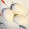 やさいソムリエ♡'s cooksnap of when they made 笑える♪ツルツルッっと簡単ゆで卵の殻むき.