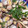 solidivory's cooksnap of when they made コクがある旨み！あさりの酒蒸し.