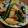 koiko亭's cooksnap of when they made いか里と大根の煮つけ.