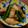 koiko亭's cooksnap of when they made いか里と大根の煮つけ.