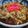 たまごはん's cooksnap of when they made 和食の基本「ほんがえし」.
