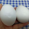 ととろ＆めい's cooksnap of when they made ガツン！子供の卵の割り方.