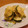 ぴよまめ。's cooksnap of when they made 簡単副菜☆ズッキーニのマヨ醤油 炒め.