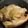 Dyayoi's cooksnap of when they made レンジで蒸し鶏☆ネギソースがけ.