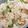クックM6DK2O☆'s cooksnap of when they made 青菜シソごはん.