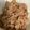 菜鳳子's cooksnap of when they made 簡単 美味しい ひら茸の 炊き込みご飯！.