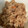 菜鳳子's cooksnap of when they made 簡単 美味しい ひら茸の 炊き込みご飯！.