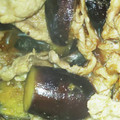 aka_ppa's cooksnap of when they made なすと豚こまの焼肉のたれ炒め.