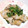 ne-ne's cooksnap of when they made セロリの葉と豚肉の黒コショウ炒め.
