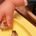 ロン子's cooksnap of when they made 離乳食に鶏肉とブロッコリーの磯部焼き♪.