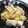 ne-ne's cooksnap of when they made 鶏肉と油揚げの煮物♪.