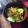 栗丸うさぎ's cooksnap of when they made キャベツと豚肉のガーリックカレー炒め.