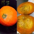 oninopantu's cooksnap of when they made 炊飯器de甘い蒸しカボチャ♪.