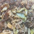りりりりちゃん's cooksnap of when they made 白菜と牛肉のオイスター炒め.