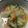 ぷりまめ's cooksnap of when they made 白菜のネギ塩うま煮♪.
