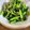 anko_toki's cooksnap of when they made 大根の葉でおひたし.