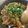 ますとー's cooksnap of when they made ♥ひき肉と豆腐のあんかけご飯♥.