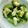 クックYI0I3B☆'s cooksnap of when they made 調度良いブロッコリーのゆで方.