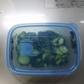 彩音ｍａｍａ's cooksnap of when they made 材料は２つだけ！きゅうりの塩昆布浅漬け.