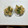 クックchitann's cooksnap of when they made 菊菜と油揚げのごま和え.