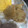 ユカtoマオマオ's cooksnap of when they made 里芋の和風唐揚げ.