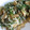 MAYUSHIZU's cooksnap of when they made もやしと油揚げのOS炒め.