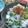 かおりかざり's cooksnap of when they made 簡単　さっぱり美味しいきゅうり大根浅漬け.