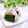 Satoco❋'s cooksnap of when they made おにぎり　～シソの実＋塩昆布～.