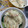 らむっこラムネv's cooksnap of when they made 本格☆簡単海老マヨ！！.