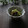 まろんかふぇ's cooksnap of when they made 大根の葉とえのきだけの塩昆布炒め.