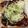 カヌレドトモコ's cooksnap of when they made ハヤシソースのトースト.