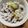 クックH86AFM☆'s cooksnap of when they made お祝いの一品☆秋のイベントにも！栗お赤飯.