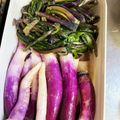 琴ママ's cooksnap of when they made 日野菜のお漬け物♪.