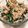 cook☆mi's cooksnap of when they made ほうれん草☆白和え(絹豆腐).