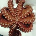 クック5LZTX4☆'s cooksnap of when they made 釣り生のマダコの茹で方(タコの下処理).
