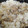 名月。's cooksnap of when they made あさりの佃煮で炊き込みご飯♪.