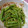 りえー。's cooksnap of when they made 冷凍野菜活用☆いんげんのごま和え♪.