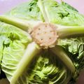 azbjbn's cooksnap of when they made レタス、キャベツの長期保存、長持ち.