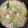 猫のミイヤ's cooksnap of when they made やみつき♪白菜塩漬けリメイクスープ.