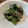 ばたみそーぱん☆'s cooksnap of when they made レンジで簡単副菜♡春菊とえのきの胡麻ぽん.