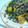 もちこヽ(´▽｀)ノ's cooksnap of when they made うまうまっ！ゴーヤの塩昆布炒め♪.